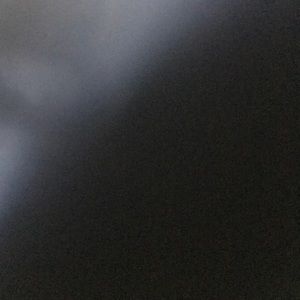 Meet your Posher, Shashaneece